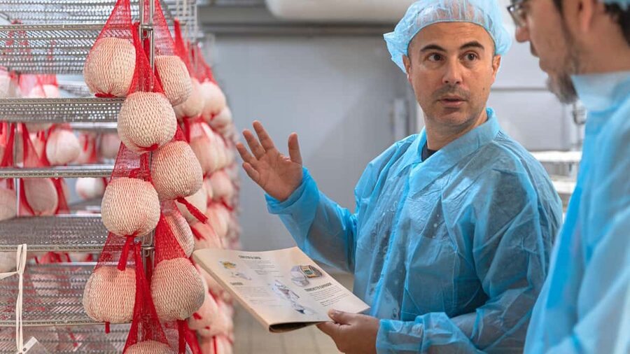 Dolianova: visit and workshop in a cheese factory - Practical arrival advice