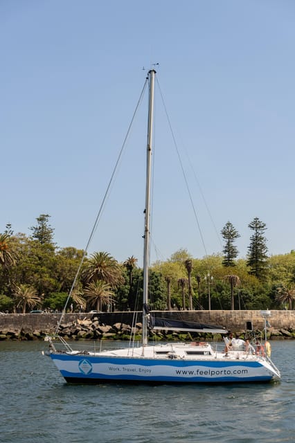 Douro River Cruise with Cheese & Tonic Porto in a Sailboat - Afternoon light or a sunset trip to the Atlantic