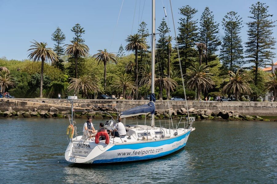 Douro River Cruise with Cheese & Tonic Porto in a Sailboat - Passing beneath the Arrábida Bridge