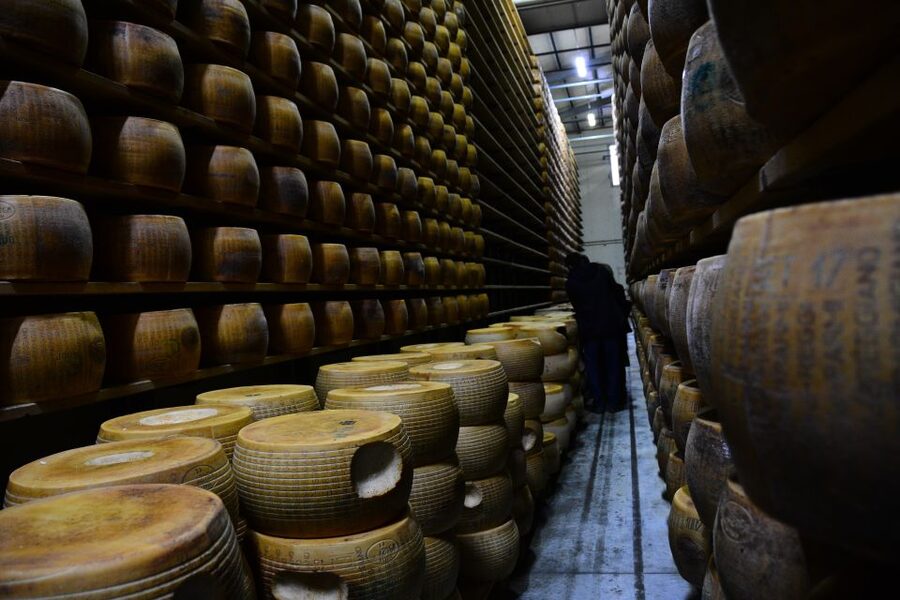 Emila-Romagna: Parmigiano, Prosciutto, Wine & Balsamic Tour - Five things to know before booking
