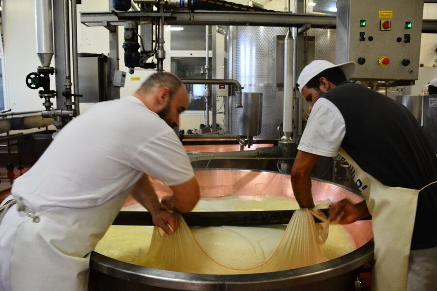 Emila-Romagna: Parmigiano, Prosciutto, Wine & Balsamic Tour - The final call
