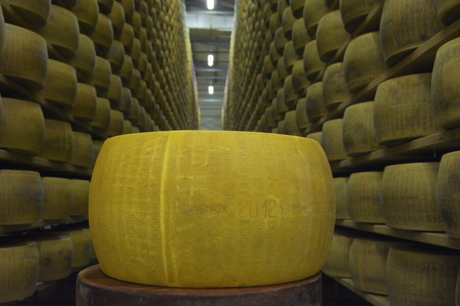 Emila-Romagna: Parmigiano, Prosciutto, Wine & Balsamic Tour - Leaving Florence for Italy’s food workshop