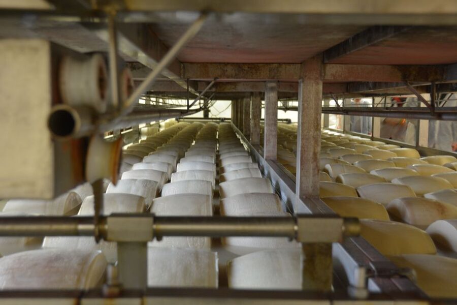 Emila-Romagna: Parmigiano, Prosciutto, Wine & Balsamic Tour - How the day feels as a complete experience