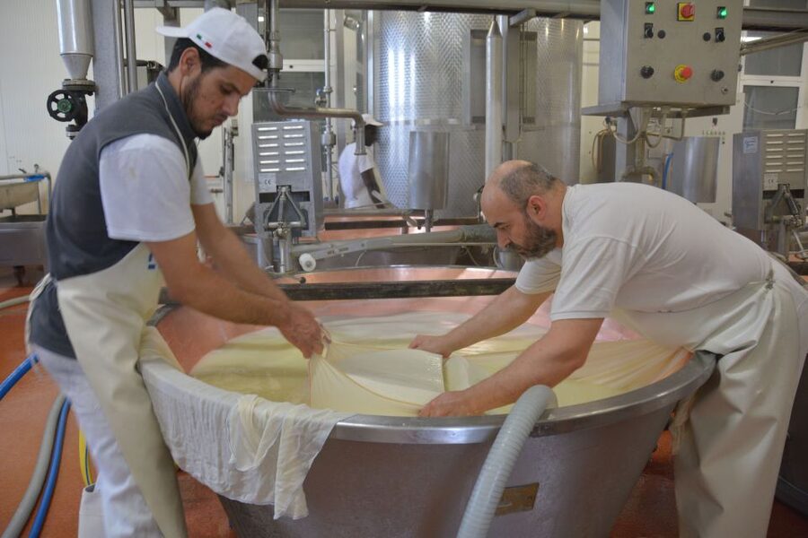 Emila-Romagna: Parmigiano, Prosciutto, Wine & Balsamic Tour - Who should book this Emilia-Romagna day trip?