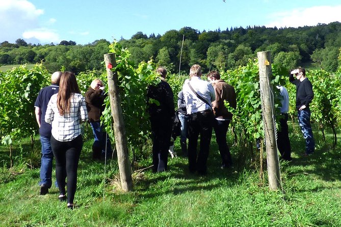 English Wine and Cheese Tour from London - Practical Booking Advice