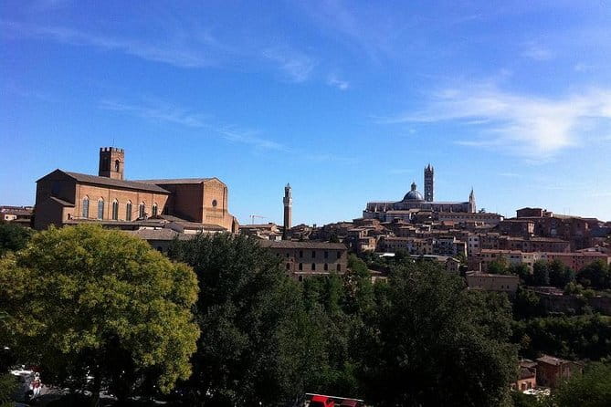Exclusive Emilia-Romagna,Parmigiano, Prosciutto, Balsamic, Wine - How the guides affect the experience