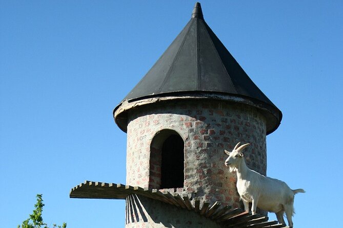 Experience 16 Wine Tasting & 6 Cheese Pairing across 3 Vineyards - The scenery is part of the value