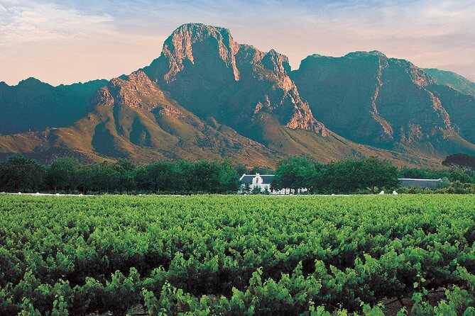 Experience 16 Wine Tasting & 6 Cheese Pairing across 3 Vineyards - Is $128.28 a fair price?