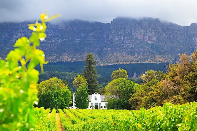 Experience 16 Wine Tasting & 6 Cheese Pairing across 3 Vineyards - Who will enjoy this tour most?