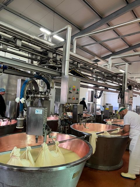 Ferrari Museum, Parmesan Cheese, Balsamic Vinegar Food Tour - What the $277.55 price really covers