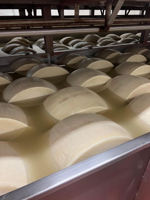 Ferrari Museum, Parmesan Cheese, Balsamic Vinegar Food Tour - The dairy farm: from milk to Parmigiano Reggiano
