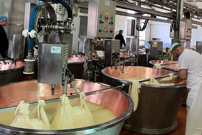 Ferrari, Parmesan and Balsamic Day Tour from Bologna - Key points to know before booking