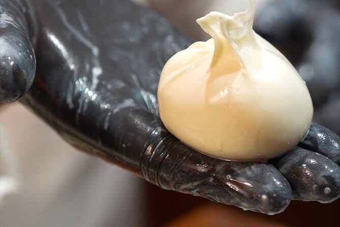 Florence: Mozzarella Cheese Making with Wine and food Tastings - Wine tasting with organic and conventional bottles