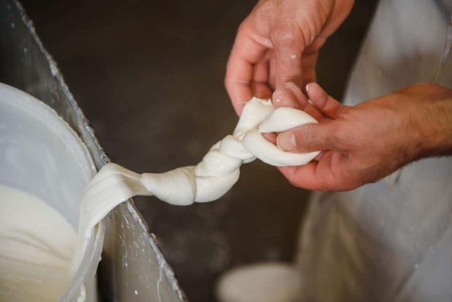 Florence: Mozzarella Making Workshop with Wine Tasting - Key points at a glance