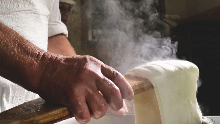 Florence: Mozzarella Making Workshop with Wine Tasting - Is $74 a fair price?