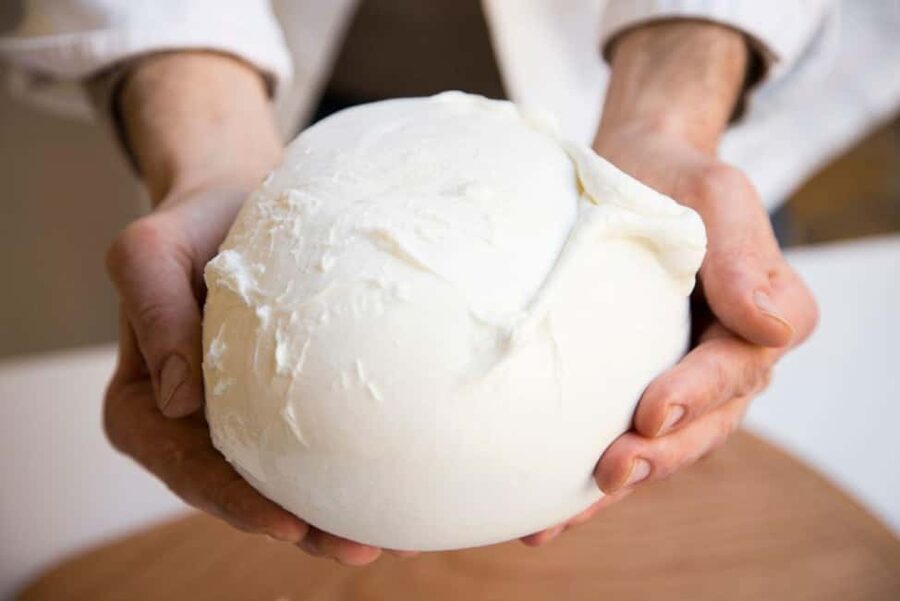 Florence: Mozzarella Making Workshop with Wine Tasting - Starting with Prosecco and a relaxed welcome