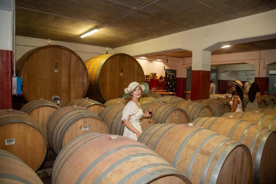 Florence: Secret of Wine and Cheese in a Winery - Key points at a glance