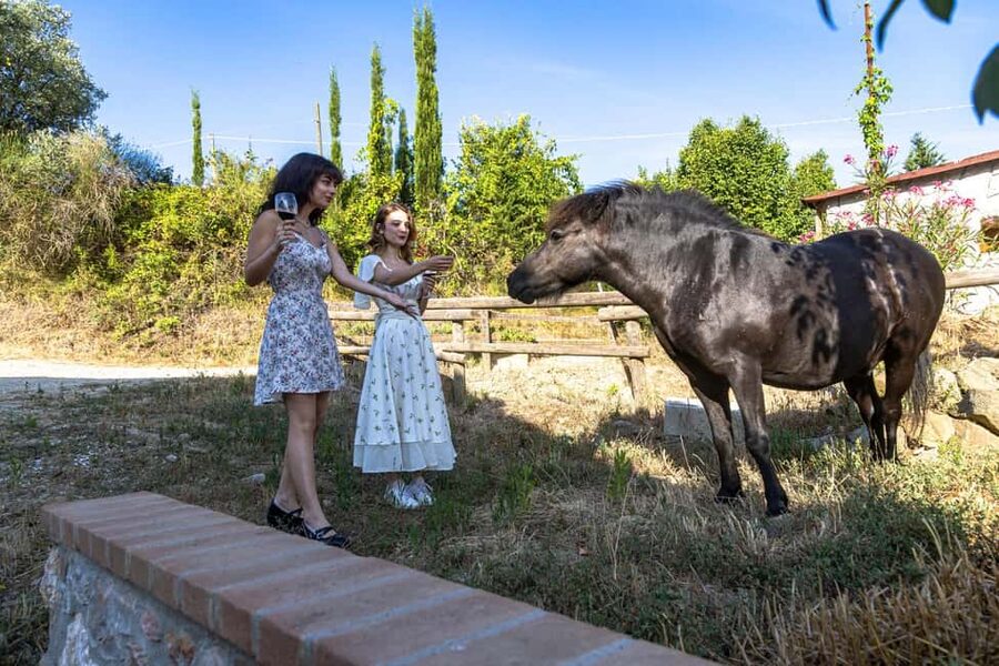 Florence: The secret of wine, cheese and olive oil at a farm - Leaving Florence for the Chianti hills