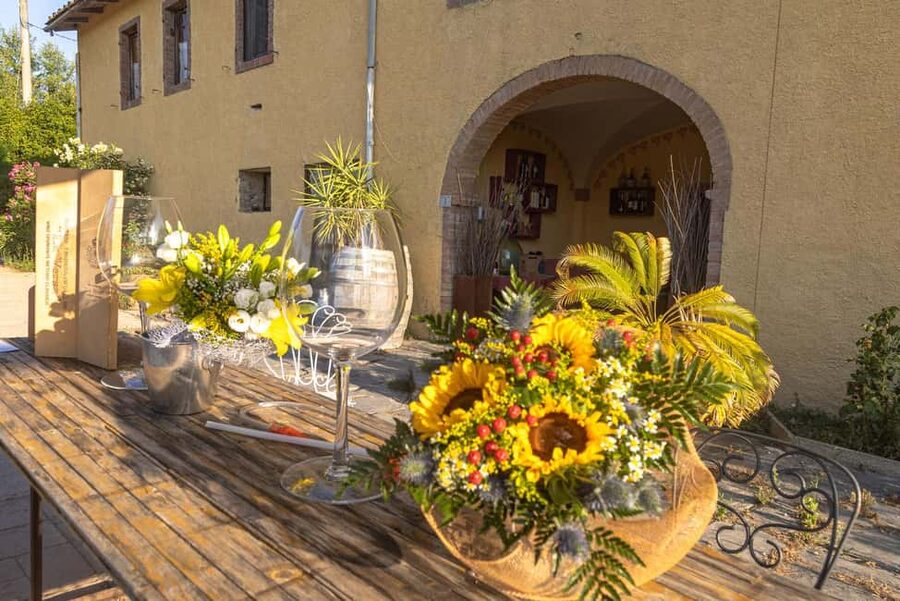 Florence: The secret of wine, cheese and olive oil at a farm - Who should book this farmhouse outing?