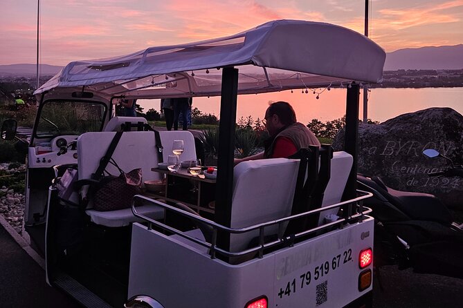 Fondue and wine private Tuk Tuk tour in Geneva - Saint Pierre Cathedral and the old arsenal