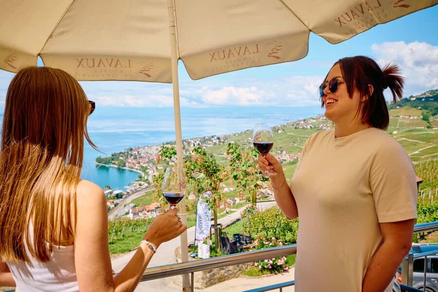 Fondue in the heart of the Lavaux vineyard - Key points to know before booking