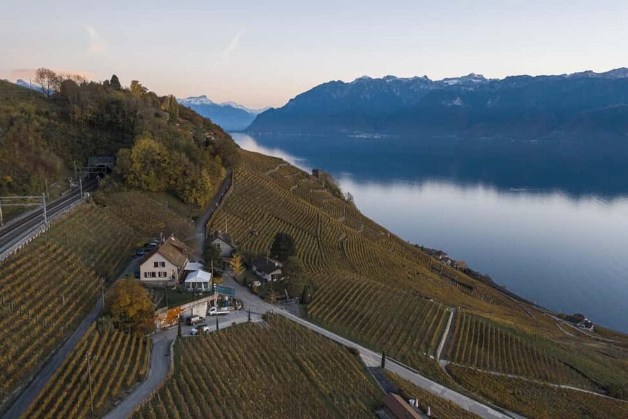 Fondue in the heart of the Lavaux vineyard - Arriving at Domaine Gaillard & Fils in Epesses