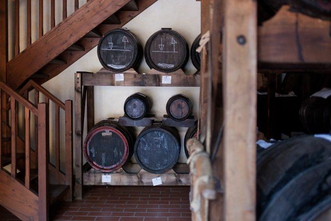 Food Tour: Parmigiano, Balsamic, Red Wine, lunch,transport - Key Points at a Glance