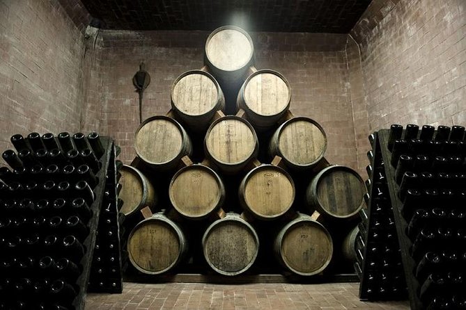 Food Tour: Parmigiano, Balsamic, Red Wine, lunch,transport - Caseificio Bio Reggiani: From Dairy to Aged Parmigiano