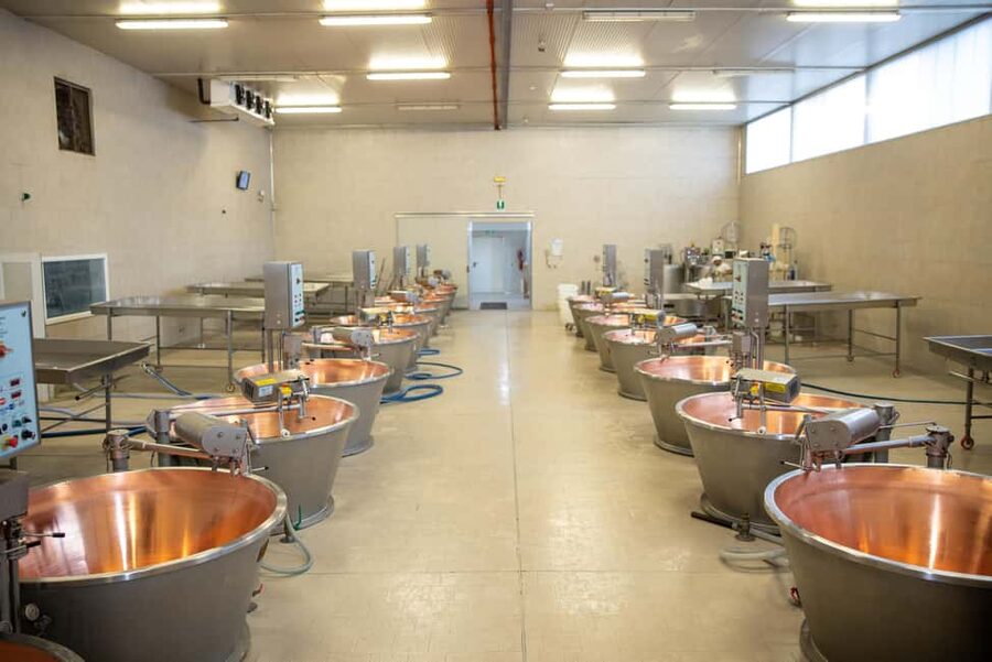 Formigine: Parmigiano tour with full tasting - Key points to know before you go