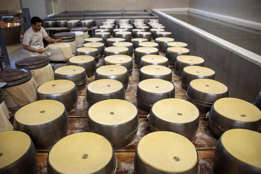 Formigine: Parmigiano tour with full tasting - Is $41 a fair price?