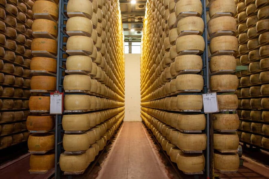 Formigine: Parmigiano tour with full tasting - The family story behind Parmigiano Reggiano