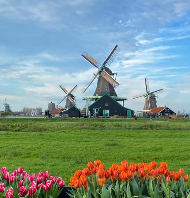 From Amsterdam; Alkmaar Cheese market & Zaanse Schans - Why this North Holland combination works