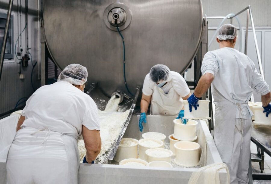 From Bologna: Parma Cheese & Ham Factory Tours and Tastings - Why Parma is the right place for this food tour