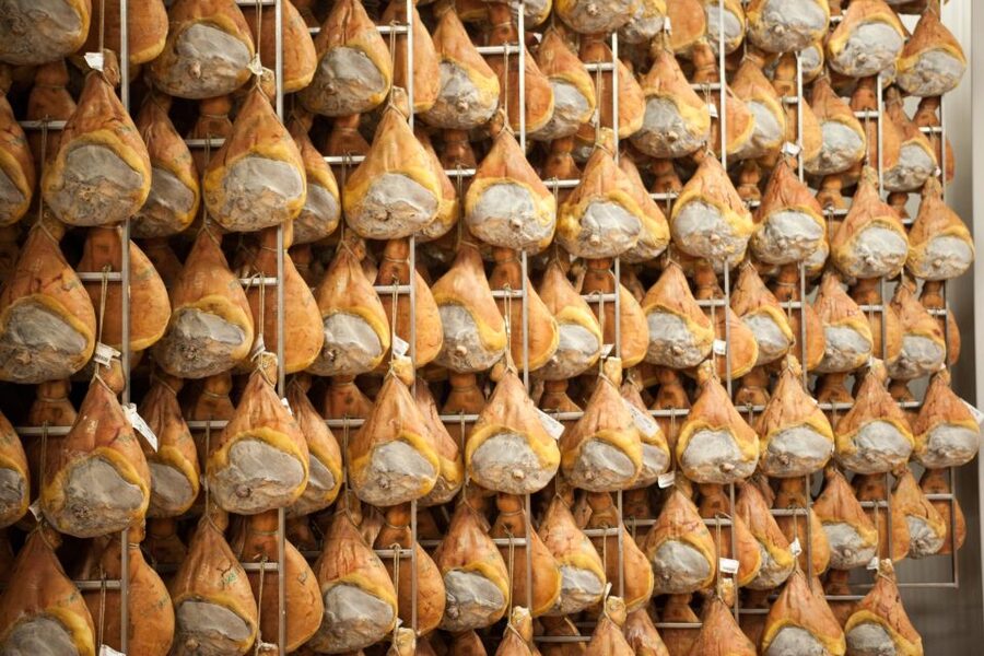From Bologna: Parma Cheese & Ham Factory Tours and Tastings - Price, tastings, and overall value