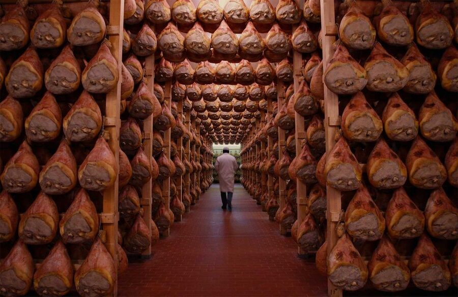 From Bologna: Parma Cheese & Ham Factory Tours and Tastings - Timing, comfort, and practical concerns