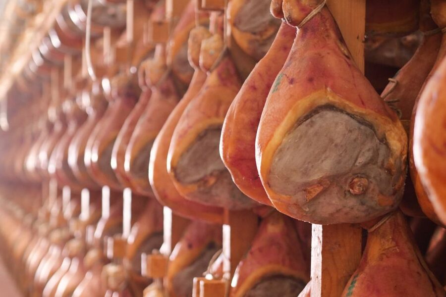 From Bologna: Parma Cheese & Ham Factory Tours and Tastings - How to make the day run smoothly