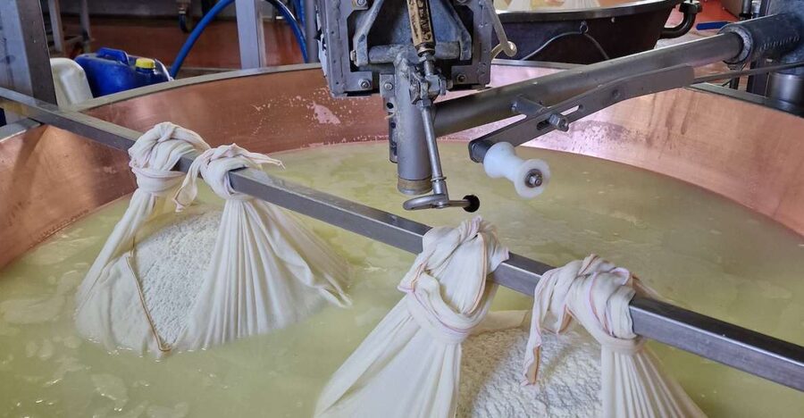 From Bologna: Parmesan, Vinegar, Lambrusco with Transfer - Why This Emilia-Romagna Food Day Works