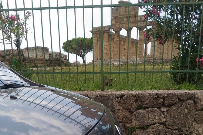 From Castellabate: Paestum Temples+Mozzarella Farm - Who will enjoy this experience most