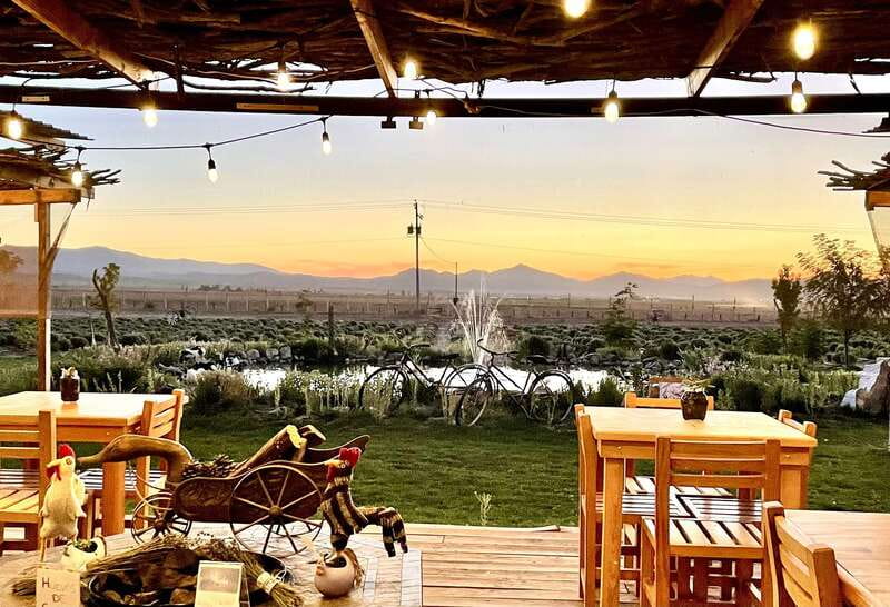 From Ensenada: Ojos Negros Valley Cheese & Wine Tasting Tour - Infinito Winery and the chance to meet Pepe Pedrosa
