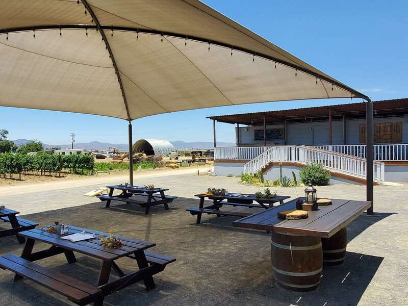 From Ensenada: Ojos Negros Valley Cheese & Wine Tasting Tour - What the $150 price really covers