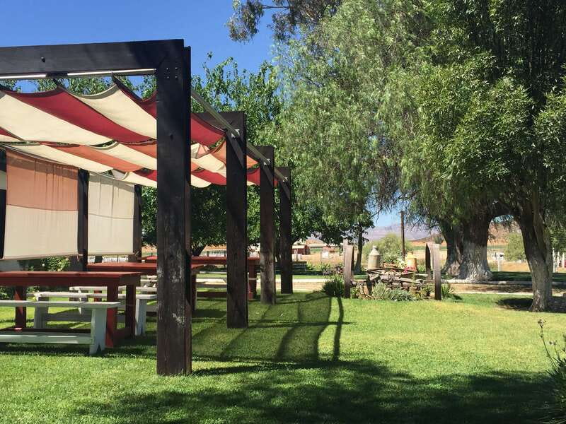 From Ensenada: Ojos Negros Valley Cheese & Wine Tasting Tour - Timing, comfort, and what to bring
