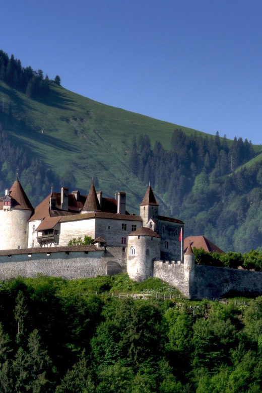 From Geneva: Gruyères Private Tour Cheese & Chocolat Factory - Key points to know before booking