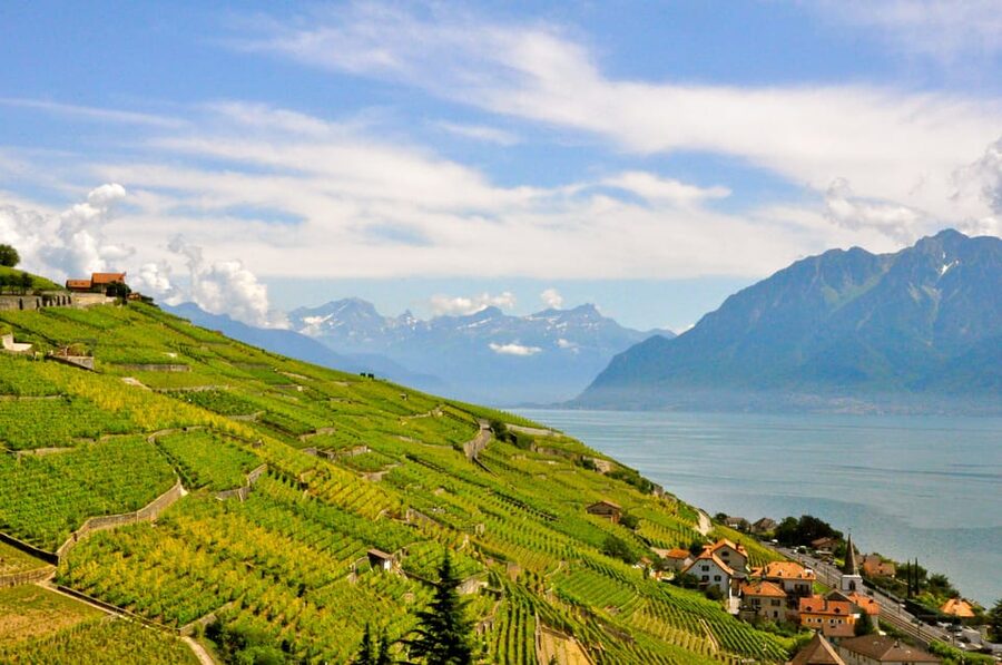 From Geneva: Gruyères Private Tour Cheese & Chocolat Factory - Gruyères old town, castle views, and free time