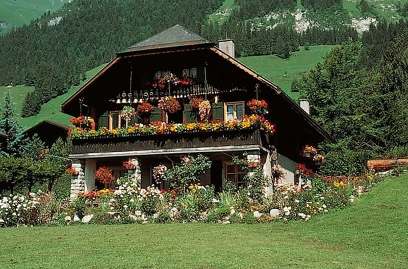 From Geneva: Gruyères Tour with Cheese & Chocolate Factories - Key points to know before booking
