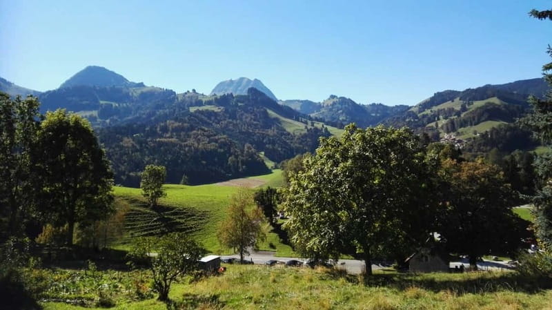 From Geneva: Gruyères Tour with Cheese & Chocolate Factories - What the $200 price really buys you