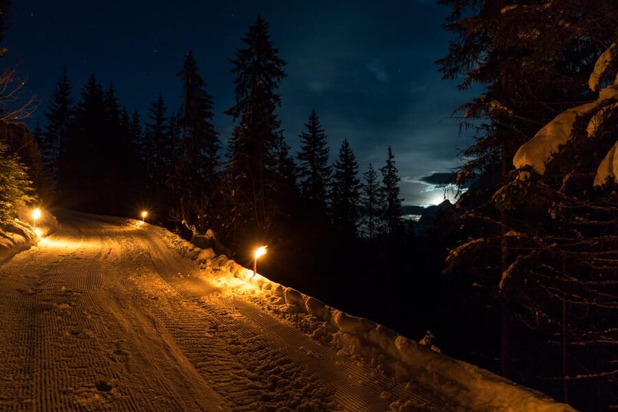 From Interlaken: Night Sledding with Cheese Fondue Dinner - The guide, pace, and level of adventure