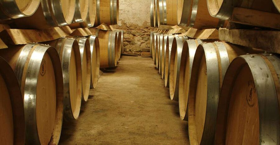 From Marseille: Aix en Provence Wine and Cheese Tour - Why this Provence wine day works