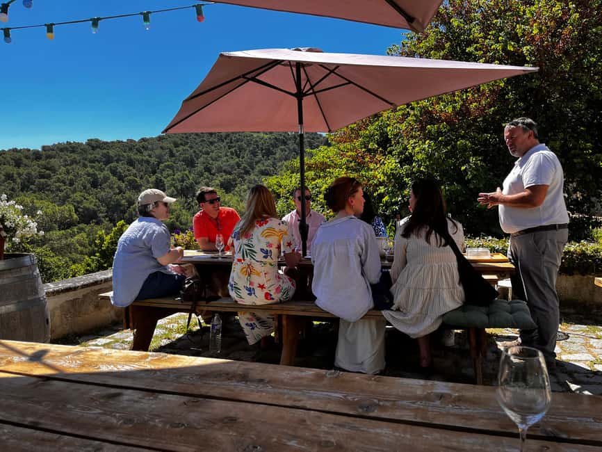 From Marseille: Aix en Provence Wine and Cheese Tour - The first vineyard and the goat-farm visit