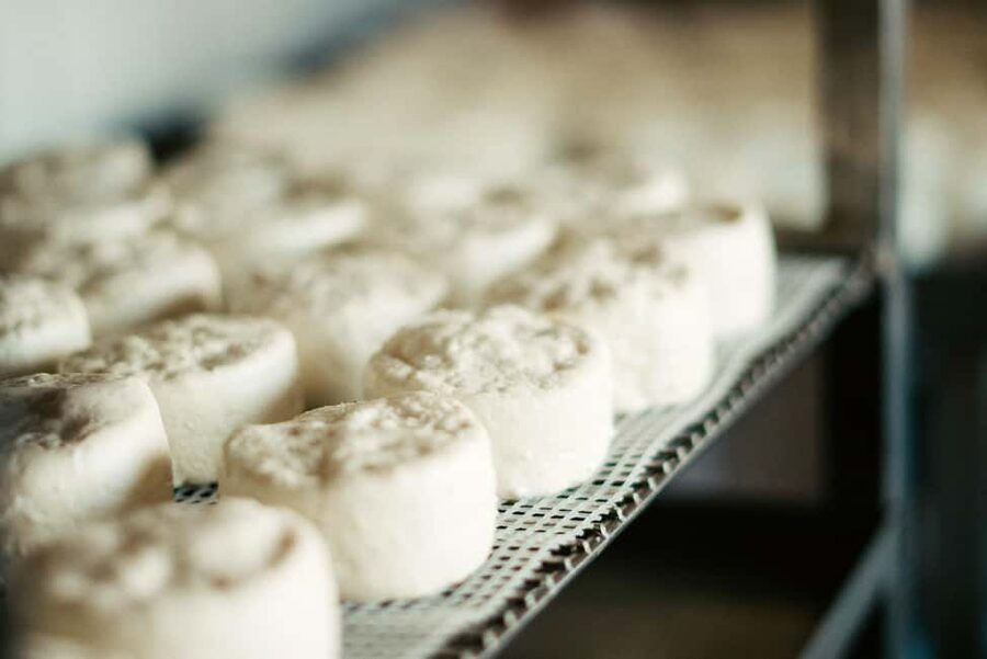 From Marseille: Aix en Provence Wine and Cheese Tour - Who should book this experience?