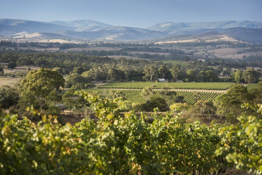 From Melbourne: Yarra Valley Chandon Cheese & Kangaroos Tour - Yering Station adds history and cool-climate wine
